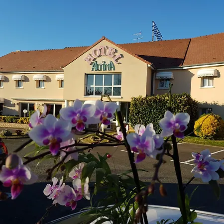 Logis Altina מלון